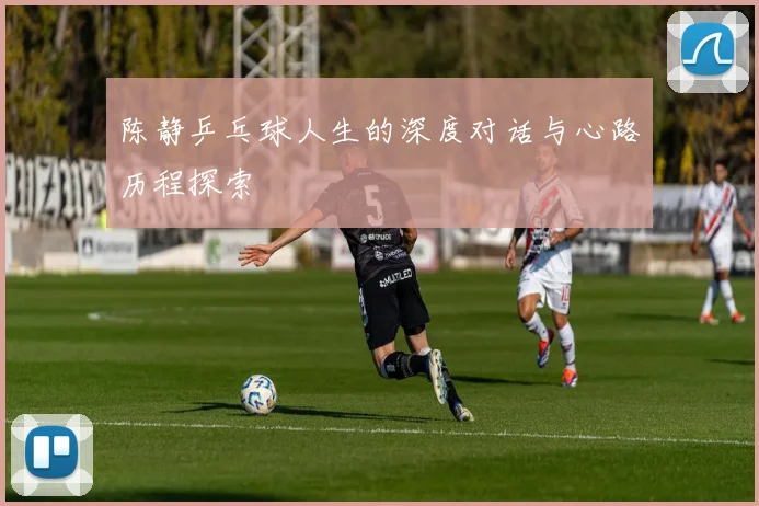 陈静乒乓球人生的深度对话与心路历程探索