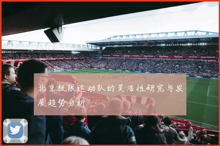 北京极限运动队的灵活性研究与发展趋势分析