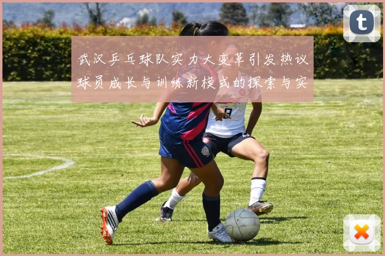 武汉乒乓球队实力大变革引发热议球员成长与训练新模式的探索与实践